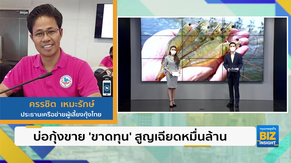 บ่อกุ้งขาย ’ขาดทุน’ สูญเฉียดหมื่นล้าน