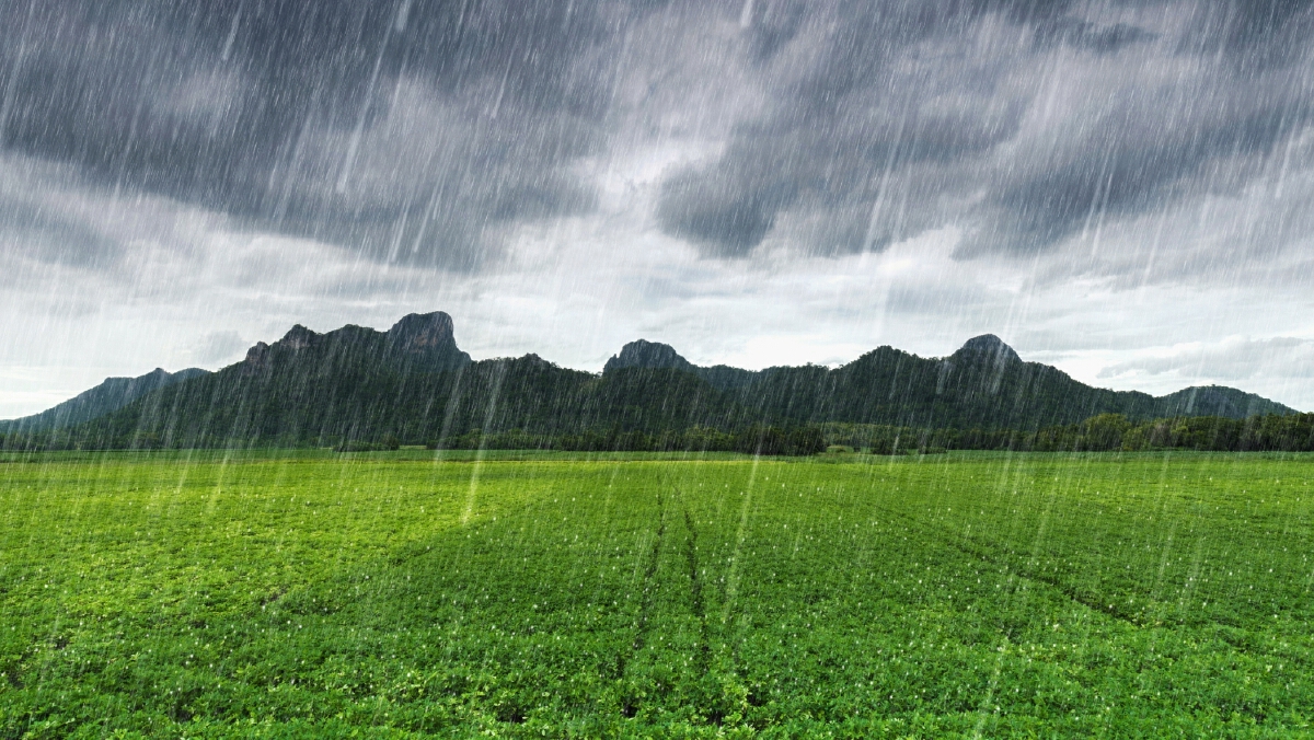 "กรมอุตุนิยมวิทยา" เตือนไทยตอนบนมีฝนฟ้าคะนอง-ลมกระโชกแรงบางแห่ง