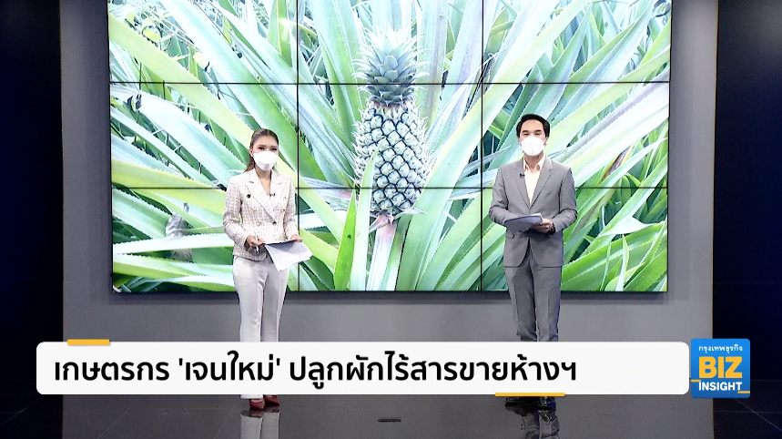 เกษตรกร ’เจนใหม่’ ปลูกผักไร้สารขายห้างฯ