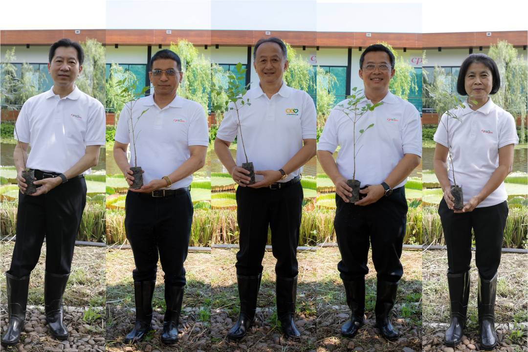 ซีพีแรม เพิ่มพื้นที่สีเขียว เสริมสร้างระบบนิเวศที่สมบูรณ์