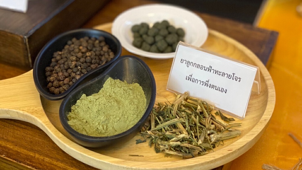 “อภัยภูเบศร” น้อมรำลึก ในหลวงรัชกาลที่ 9 โครงการพระราชดำริด้านสมุนไพร