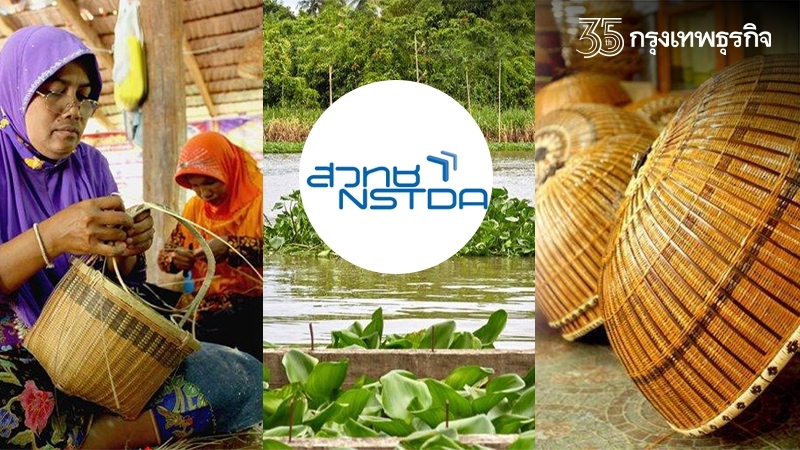 สวทช. หนุนวิจัยใช้ประโยชน์ "ต้นคลุ้ม" เสริมจุดเด่น "ถาดพลาสติกชีวภาพ"