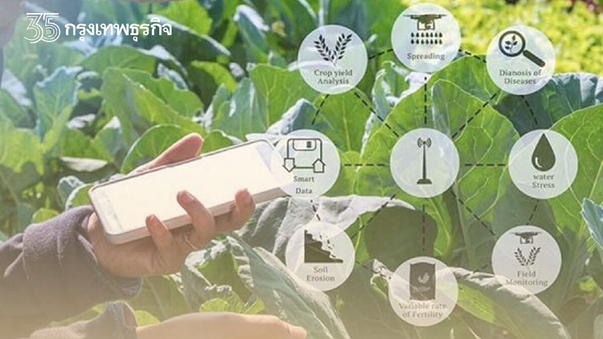 เกษตร ทุ่ม 2 หมื่นล้านดันเกษตรอัจฉริยะ2ปี ดึงเกษตรกรพ้นความจน 20 %