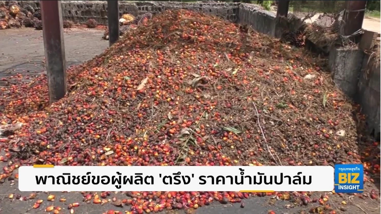 พาณิชย์ขอผู้ผลิต ‘ตรึง‘ ราคาน้ำมันปาล์ม