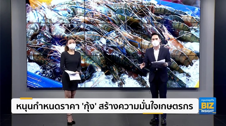 หนุนกำหนดราคา ‘กุ้ง’ สร้างความมั่นใจเกษตรกร
