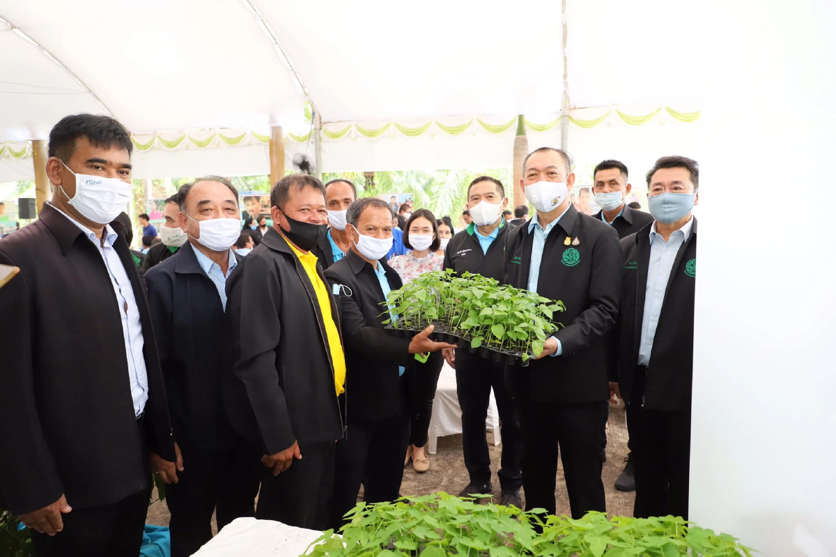 หนุนโครงการพืชพันธุ์ดีระยะ2 หลังเกษตรกรตอบรับช่วยผลภัยโควิด