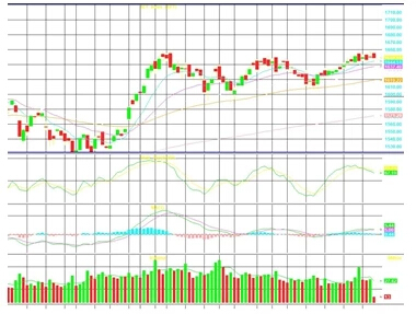 Afternoon Call Action Notes (25 พ.ย. 2564)