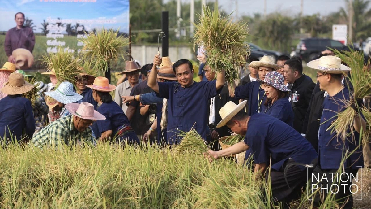 "นายกฯ"สั่งเร่งช่วยชาวนา อย่างเหมาะสม ไม่บิดเบือนกลไกตลาด ยึดวินัยการคลัง