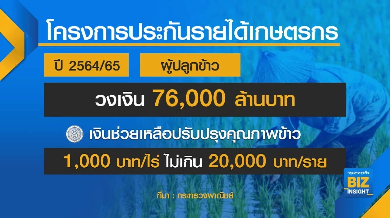 ครม.อัด 8 หมื่นล้านจ่ายเงินชาวนา 31 งวด