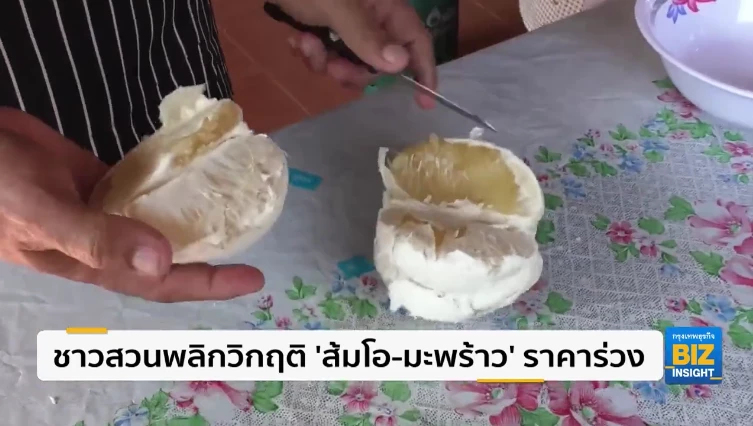 ชาวสวนพลิกวิกฤติ ‘ส้มโอ-มะพร้าวอ่อน’ ราคาร่วง