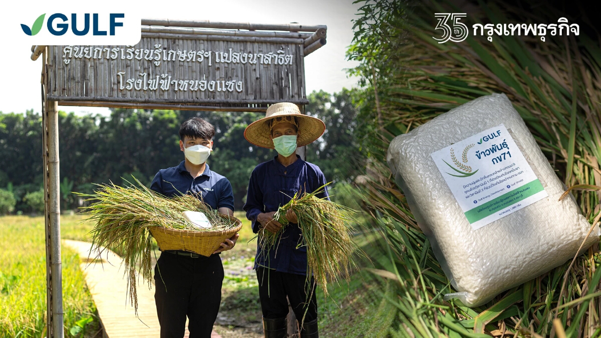 กัลฟ์ เปิดตัว โชว์โมเดลศูนย์การเรียนรู้ทางการเกษตร ส่งเสริมไอเดียปลูกข้าวทางเลือกเพื่อสุขภาพ