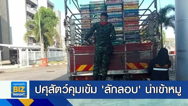 ปศุสัตว์คุมเข้ม ’ลักลอบ’ นำเข้าหมูแช่แข็ง