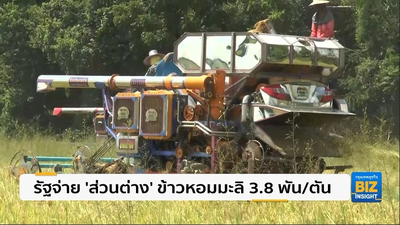 รัฐจ่าย ‘ส่วนต่าง‘ ข้าวหอมมะลิ 3.8 พัน/ตัน