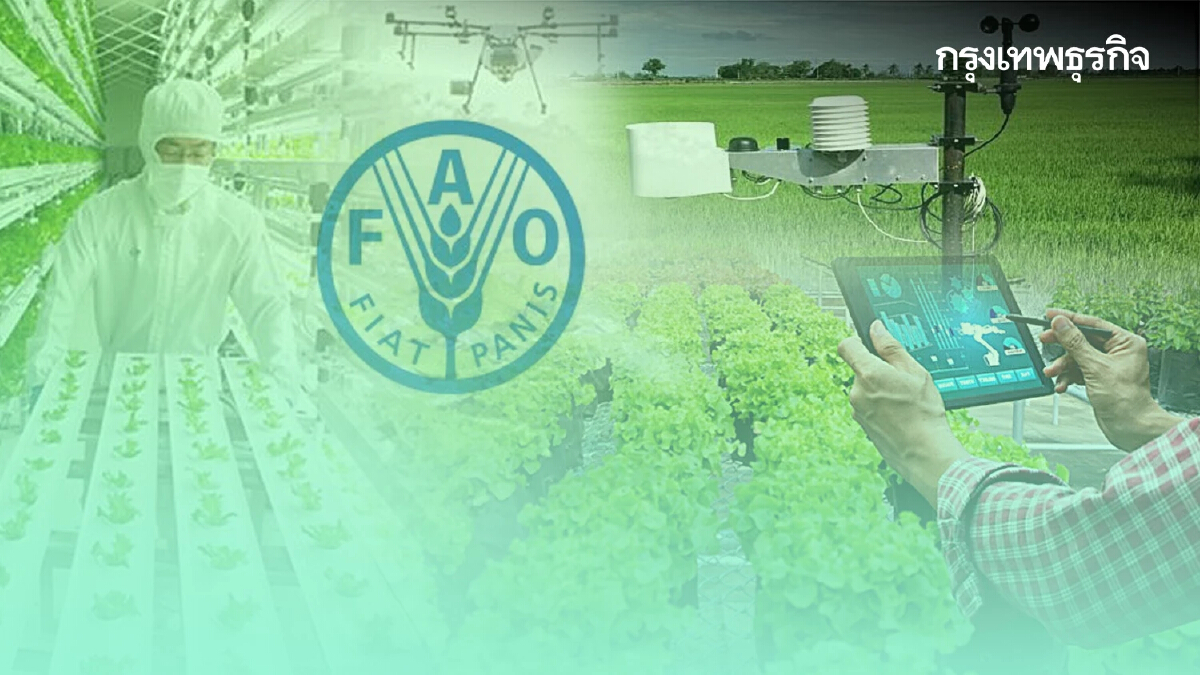 "CPF" เผย “FAO”ดึงคอนแทรคฟาร์มมิ่งไทย สู่โมเดลพัฒนาเกษตรกรทั่วโลก