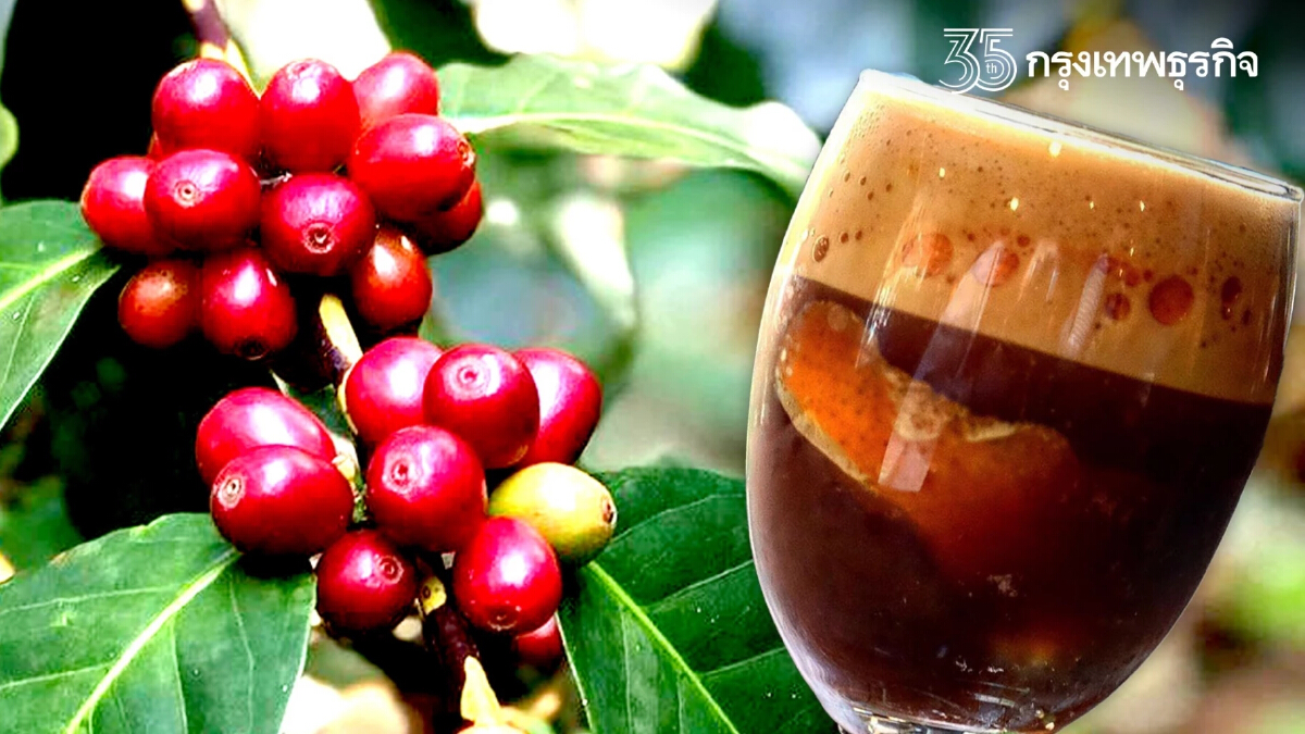 รู้ไหม...โลกร้อนขึ้น 1 องศา ส่งผลต่อรสชาติ“กาแฟ”