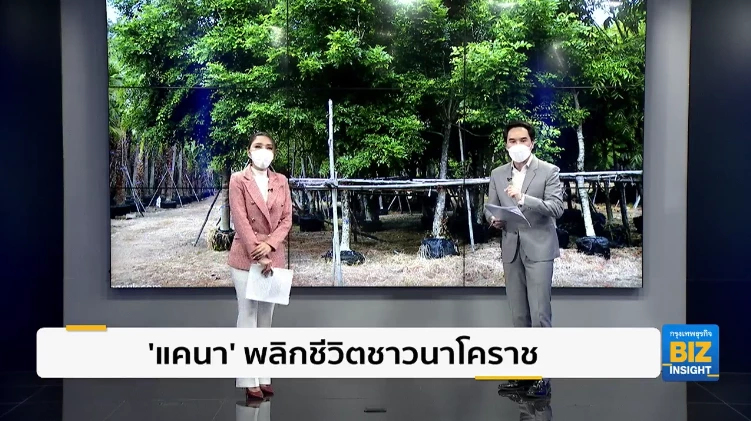 ‘แคนา’ พลิกชีวิตชาวนาโคราชสร้างรายได้ 5 หมื่น/เดือน