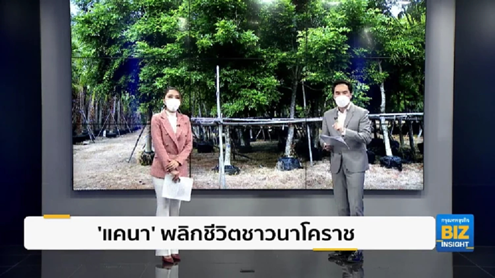 ‘แคนา’ พลิกชีวิตชาวนาโคราชสร้างรายได้ 5 หมื่น/เดือน