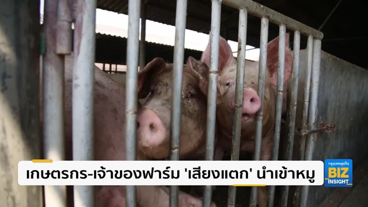 เกษตรกร-เจ้าของฟาร์ม ’เสียงแตก’ นำเข้าหมู