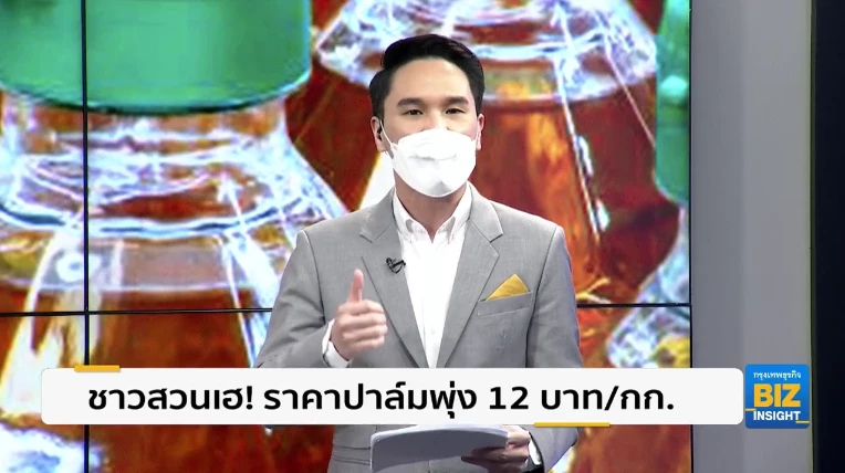 ชาวสวนเฮ! ราคาปาล์มพุ่ง 12 บาท/กิโลกรัม