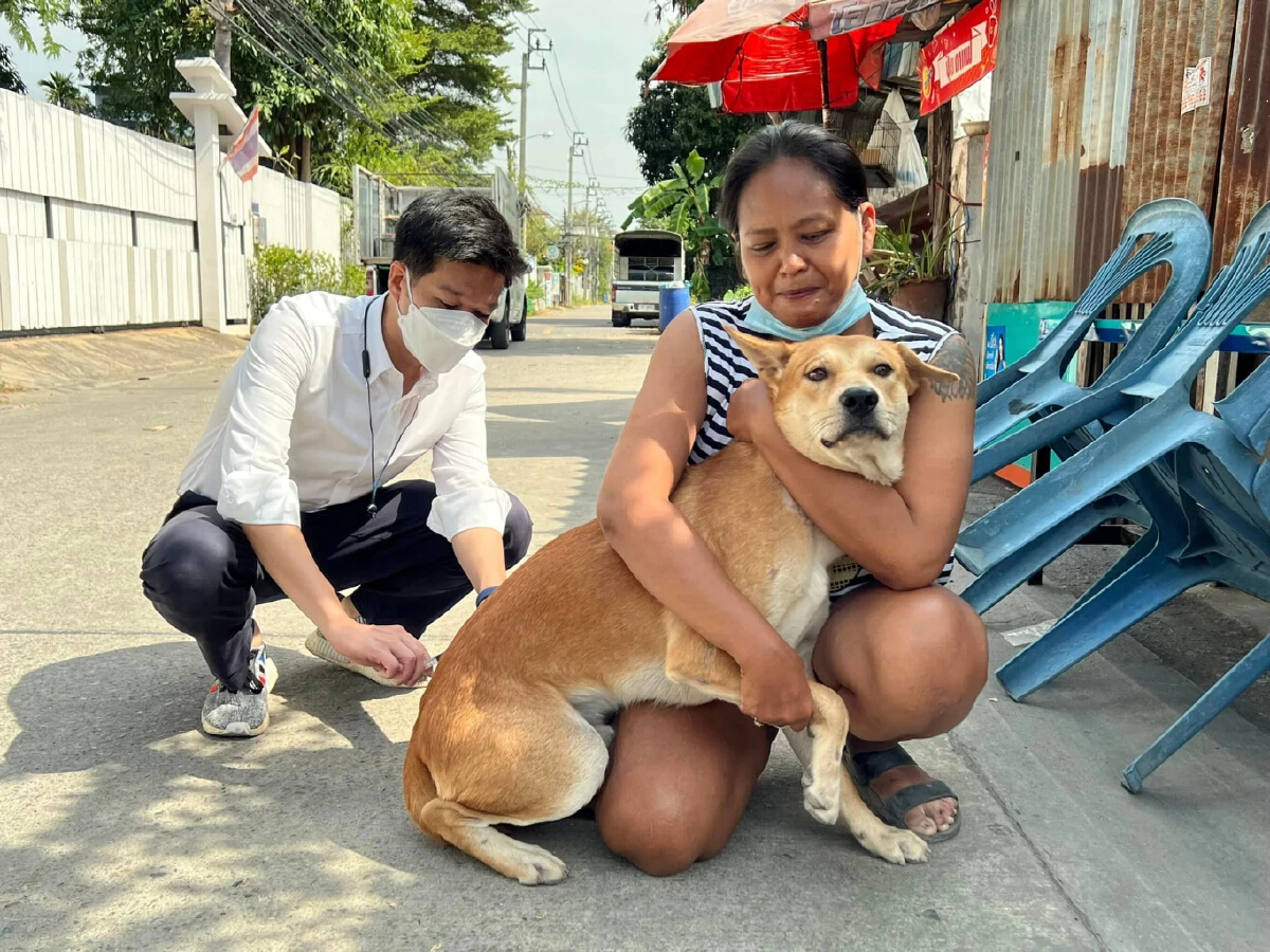 “สุรชาติ”แนะรัฐจับมือชุมชนตั้งศูนย์พักเลี้ยงแก้สุนัข-แมวเร่ร่อนในเมือง