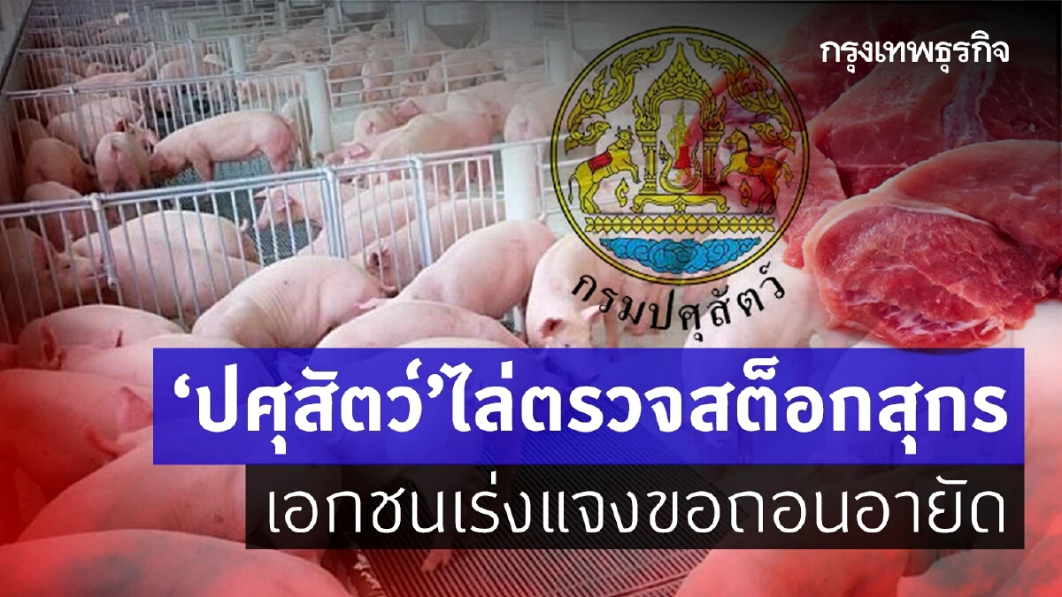 “ปศุสัตว์”ไล่ตรวจสต็อกสุกร เอกชนเร่งแจงขอถอนอายัด