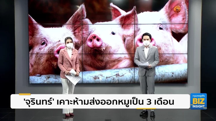 ‘จุรินทร์’ เคาะห้ามส่งออกหมูเป็น 3 เดือน