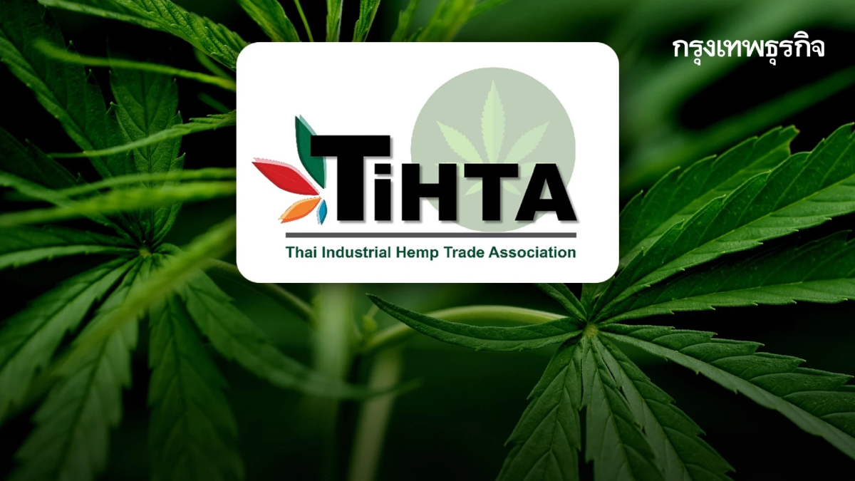 ข้อจำกัดราคาซื้อขาย "กัญชง" 1 ปียังขาดความชัดเจน