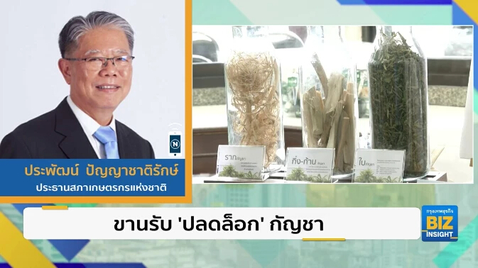 ขานรับ ’ปลดล็อก’ กัญชา ต่อยอดพืชเศรษฐกิจ