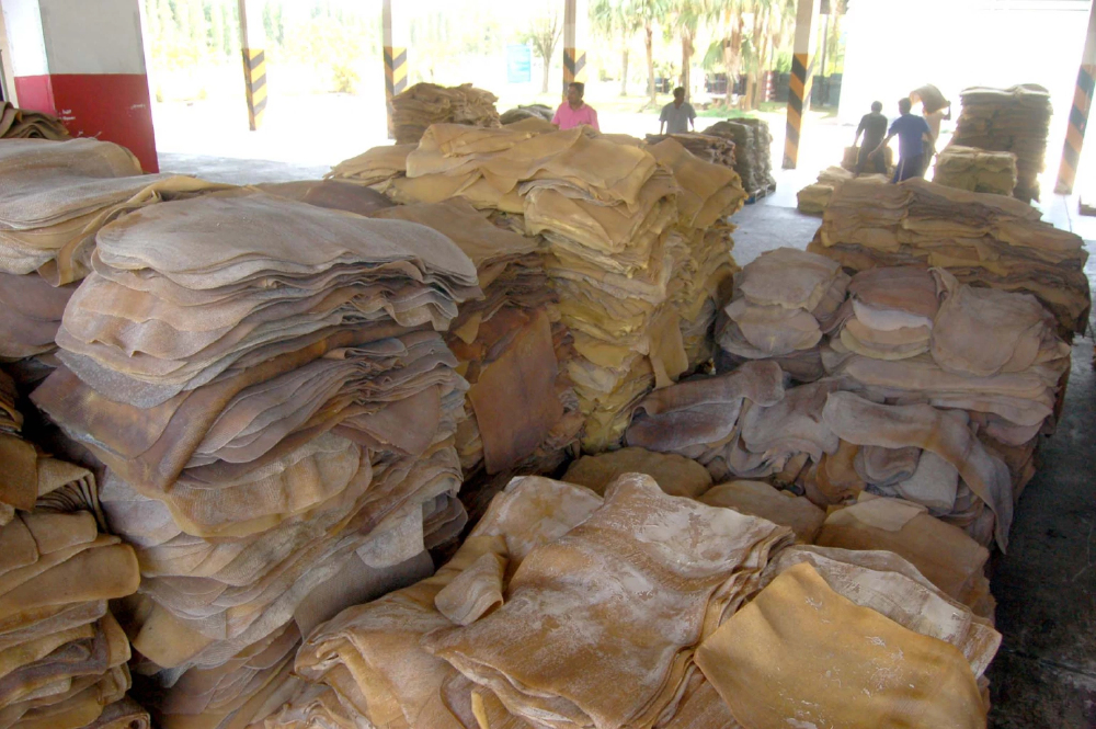 ราคายางพารา (การยางแห่งประเทศไทย) ประจำวันที่ 2 กุมภาพันธ์ 2565