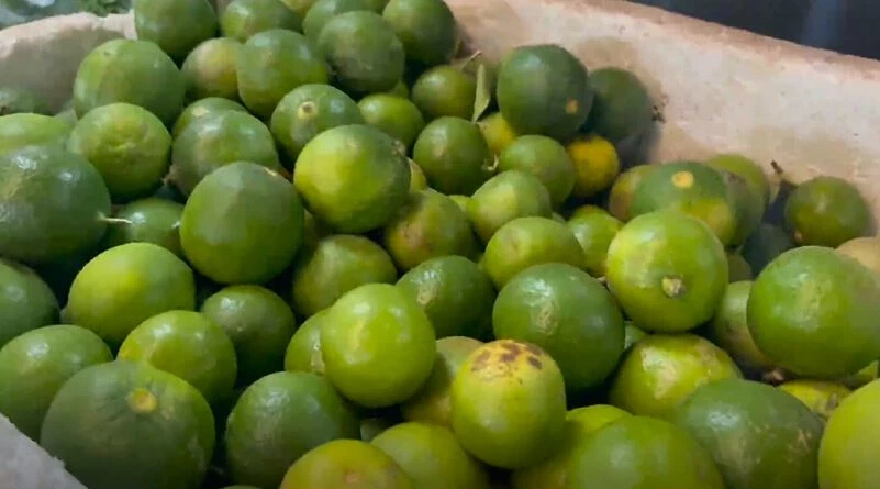 "มะนาวแพง" หนองคาย ปรับขึ้นราคาแตะกิโลกรัมละ 100 บาท