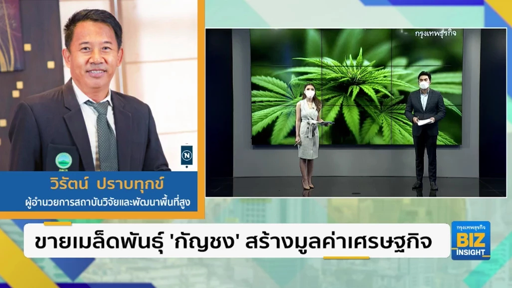 ขายเมล็ดพันธุ์ ’กัญชง’ สร้างมูลค่าเศรษฐกิจ