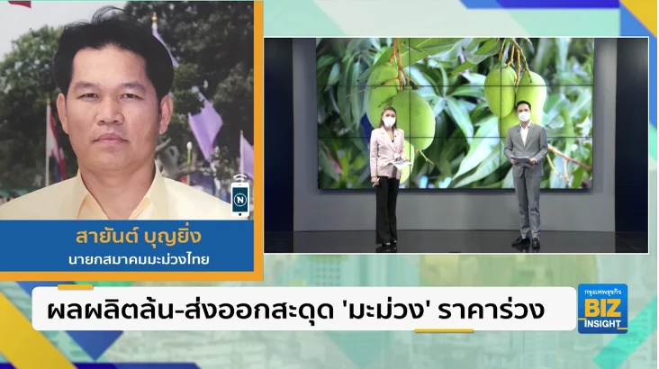 ผลผลิตล้น-ส่งออกสะดุด ‘มะม่วง’ ราคาร่วง