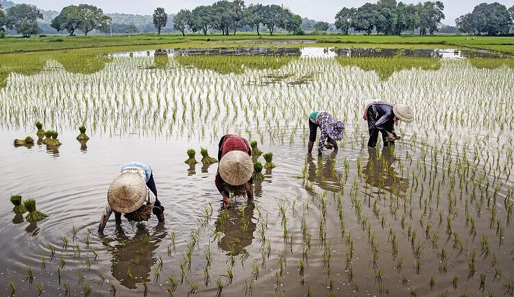 การปกครองท้องถิ่นเวียดนามก้าวหน้ากว่าไทย? | ชำนาญ จันทร์เรือง