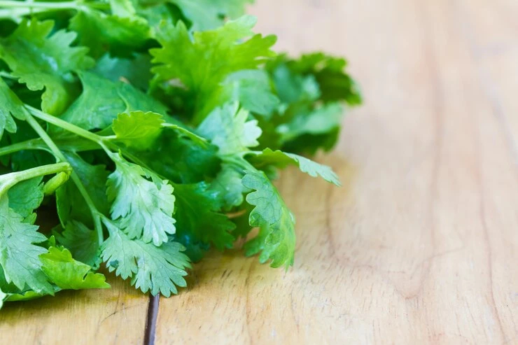 รู้จัก “วันเกลียดผักชี” I Hate Coriander Day ทำไมถึงเกลียด...