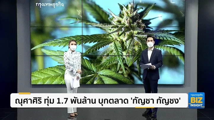 ณุศาศิริ ทุ่ม 1.7 พันล้าน บุกตลาด 'กัญชา กัญชง'