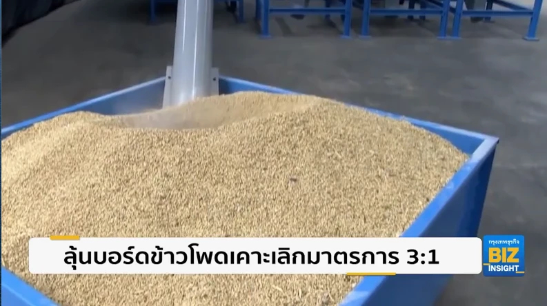 ลุ้นบอร์ดข้าวโพดเคาะยกเลิกมาตรการ 3:1