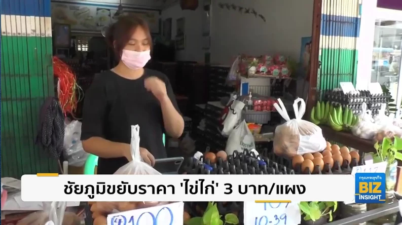 ชัยภูมิขยับราคา ’ไข่ไก่’ 3 บาท/แผง ปรับขึ้นต่อเนื่อง
