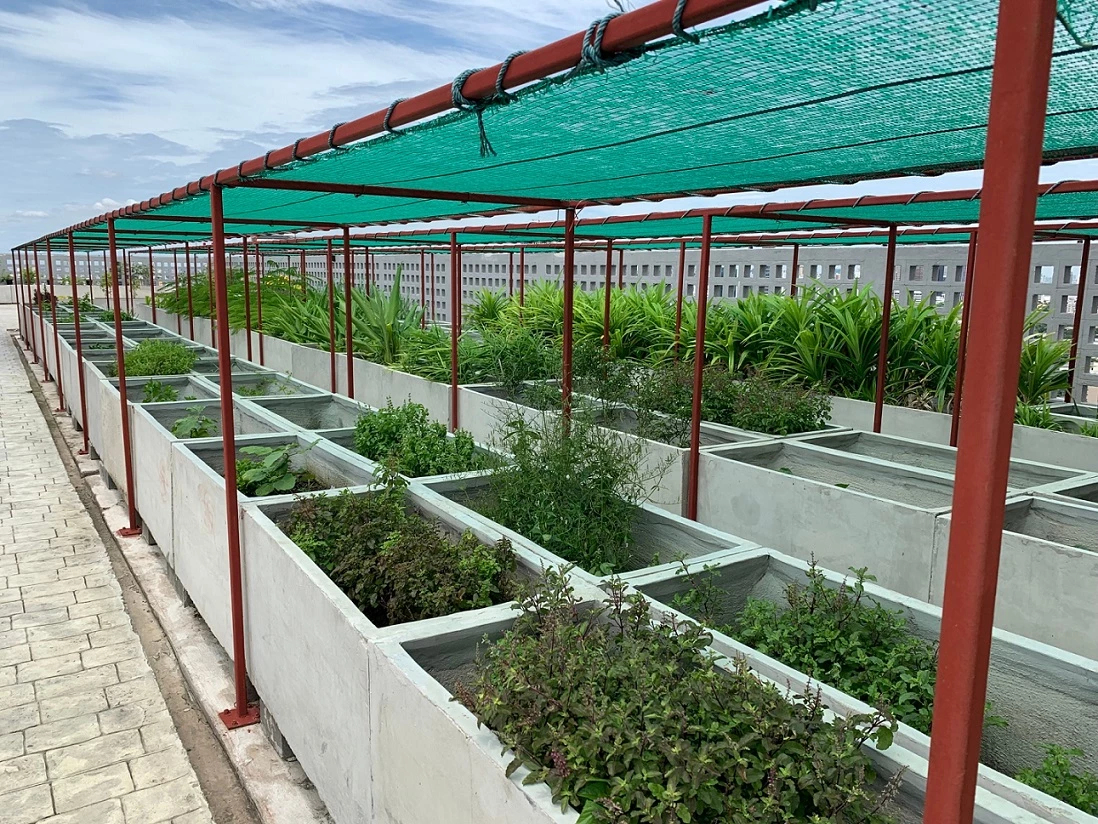 การเคหะแห่งชาติ ปลื้มผลตอบรับ “โครงการฟื้นฟูเมืองชุมชนดินแดง ระยะที่ 1”