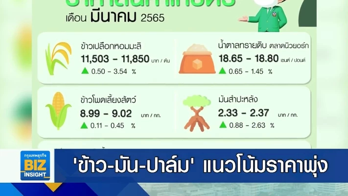 ‘ข้าว-มัน-ปาล์ม’ แนวโน้มราคาพุ่งสูงขึ้น