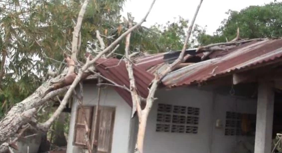 "พายุฤดูร้อน" พัดถล่มอำนาจเจริญ บ้านเรือนเสียหาย-ต้นไม้หักโค่น