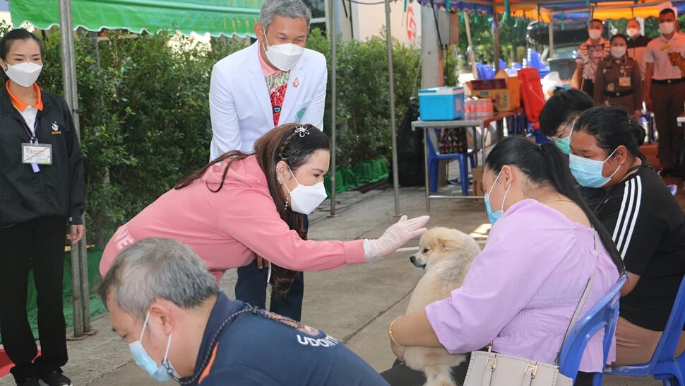 กรมพระศรีสวางควัฒนฯ ทรงออกหน่วยสัตวแพทย์อาสาจุฬาภรณ์ วัดป่าบ้านตาด