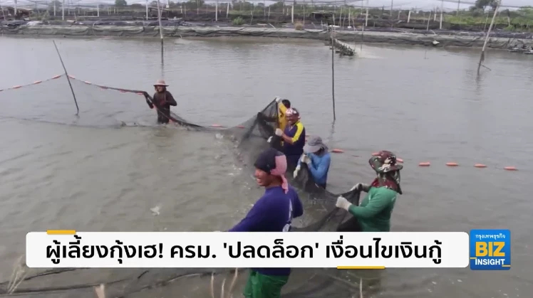 ผู้เลี้ยงกุ้งเฮ! ครม. ‘ปลดล็อก’ เงื่อนไขเงินกู้