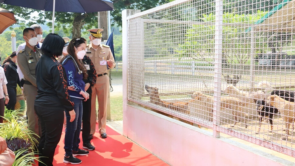 กรมพระศรีสวางควัฒนฯ ทรงติดตามความก้าวหน้าผลการดำเนินงาน  ศูนย์ดูแลสุนัขจรจัด กองทัพเรือ จ.ชลบุรี