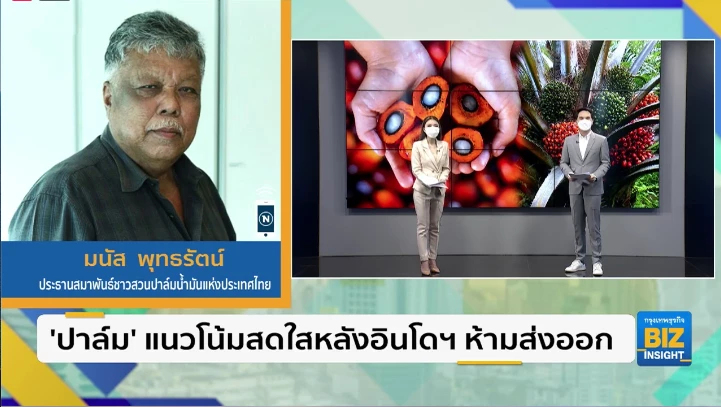 ‘ปาล์ม’ แนวโน้มสดใสหลังอินโดฯ ห้ามส่งออก