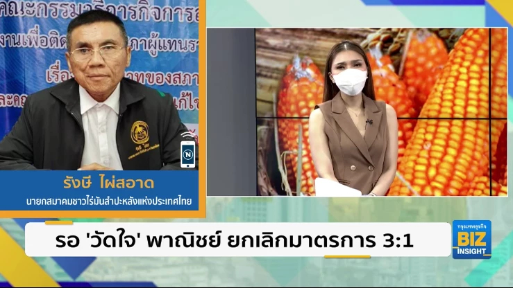 รอ ’วัดใจ’ พาณิชย์ ยกเลิกมาตรการ 3:1 คุยกับนายกสมาคมชาวไร่มันสำปะหลัง