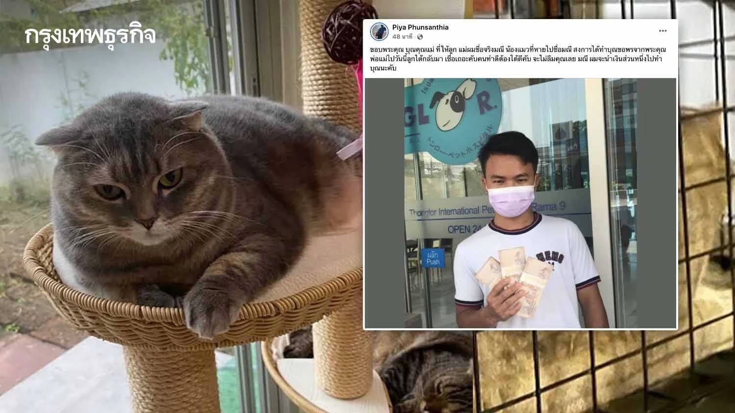 เจ้าของแมว "น้องมณี" มอบ 3 แสนตามสัญญาให้ รปภ.หนุ่ม