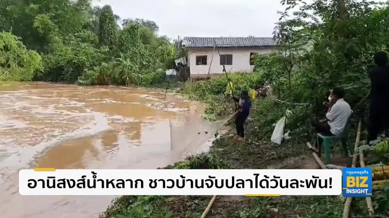 อานิสงส์น้ำหลาก ชาวบ้านจับปลาได้วันละพัน!