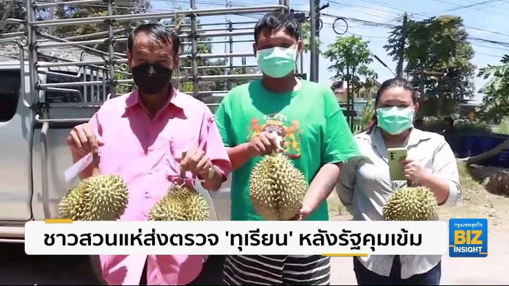 ชาวสวนแห่ส่งตรวจ ‘ทุเรียน’ หลังรัฐคุมเข้ม