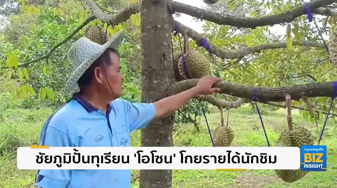 ชัยภูมิปั้นทุเรียน ‘โอโซน’ โกยรายได้นักชิม