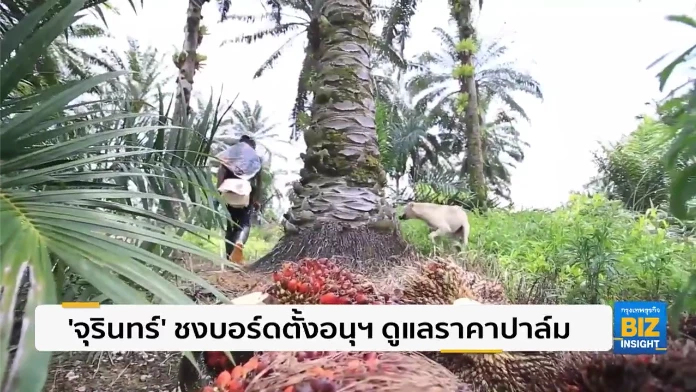 ‘จุรินทร์’ ชงบอร์ดตั้งอนุฯ ดูแลราคาปาล์ม